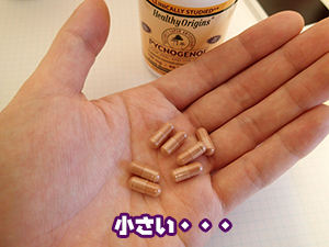 ピクノジェノール写真