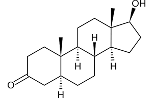 テストステロン